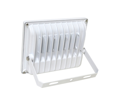OEM ODM 30W LED Reflector Flood Light IP66