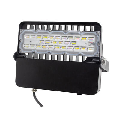Wysokowydajny zewnętrzny naświetlacz LED 100W 48V DC